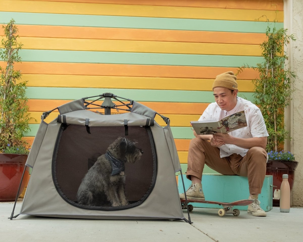 Playpen and crate training a puppy