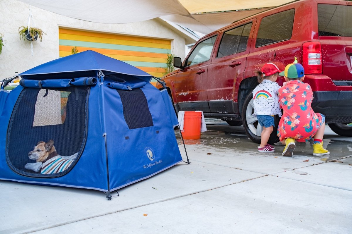 zelt alu Semptec Urban Survival Technology Liegezelt: 2in1-Zelt mit Alu-Feldbett, 1200 mm Wassersäule, 193 x 78 x 160 cm (Bettzelt, Tent, Angel) best gravel frame Camping Pirna | Camping Farbe:lake