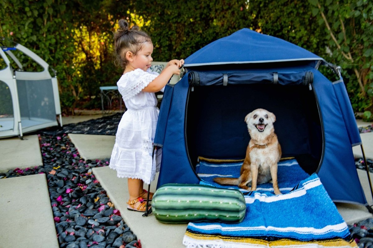 Why the Pop N’ Go Mini is Your Next Best Purchase - The California Beach Co.