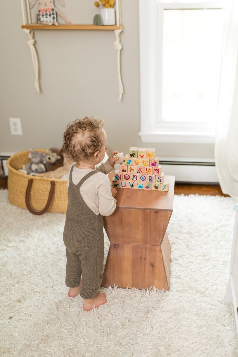 Animal ABC Blocks - The California Beach Co.