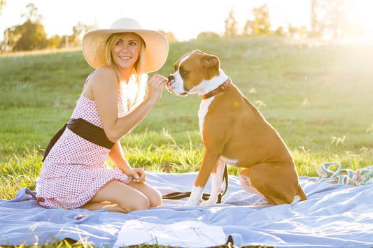 The Pop ‘N Go Pets Playpen is a Must-Have Fall Backyard Accessory