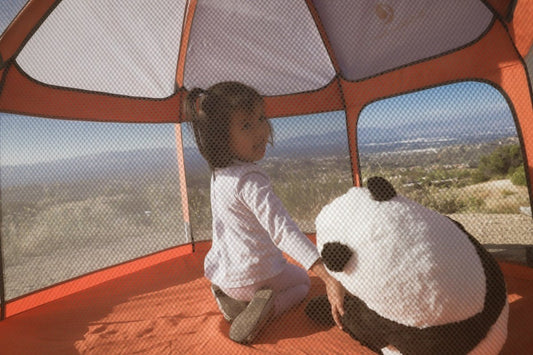 Let Your Child’s Imagination Run Wild - Literally