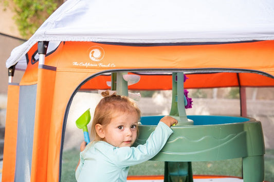 Can You Use a Baby Playpen for Dogs?