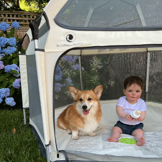 Most Durable Baby Products