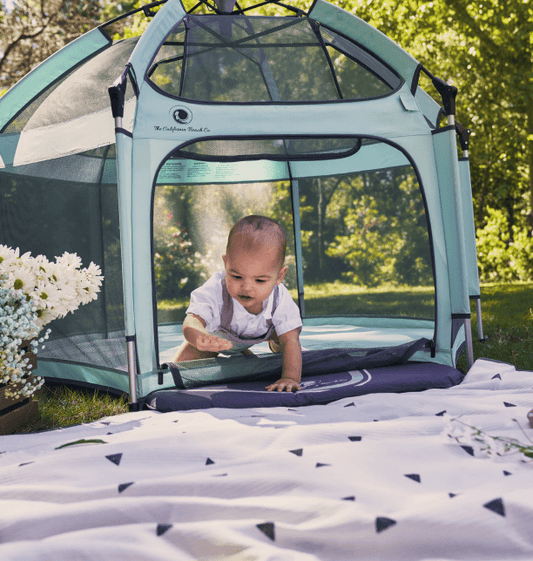 Pet Safety + Baby Safety: Why Pop ’N Go® Works for Both