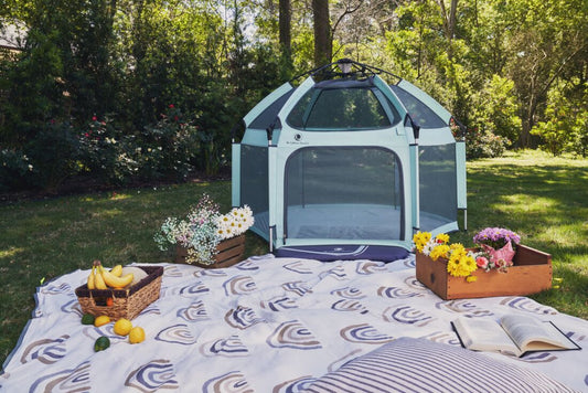 Understanding UV Safety for Babies: Why UPF 50 Matters