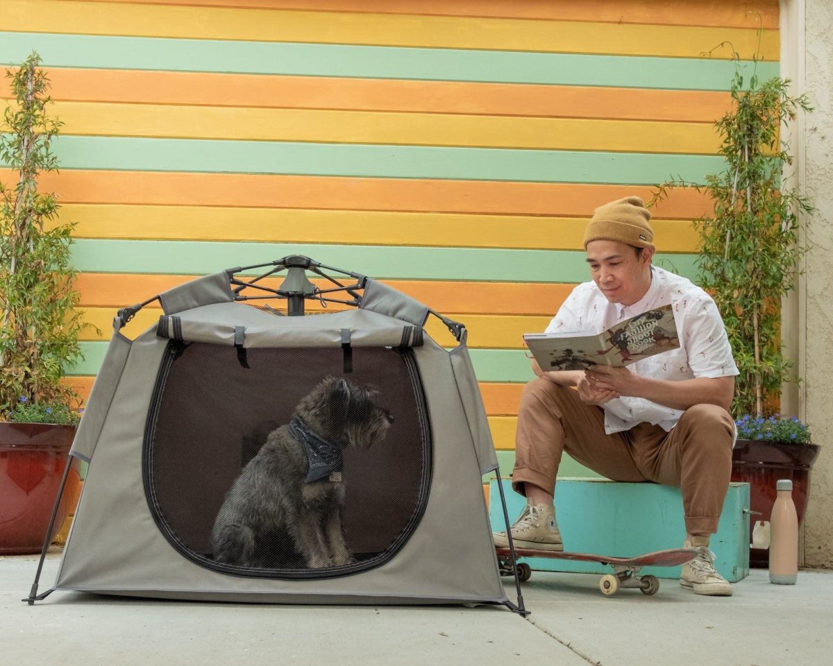 The Best Way to Crate Train Your Dog: The Pop 'N Go® Pets Playpen - The California Beach Co.