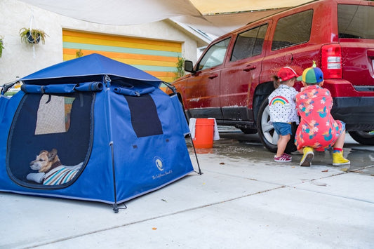 Work and Play at the Pop ‘N Go Car Wash