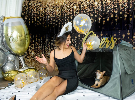 Five New Year Resolutions to Make You a Better Dog Mom