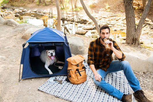 The World's Best Playpen for Pets: Learn More Here