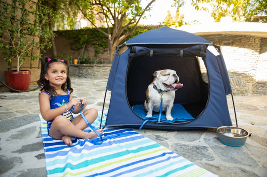 Five Unexpected Ways A Playpen for Your Pet Will Come In Handy - The California Beach Co.