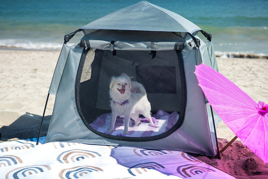 Playpens for Pets
