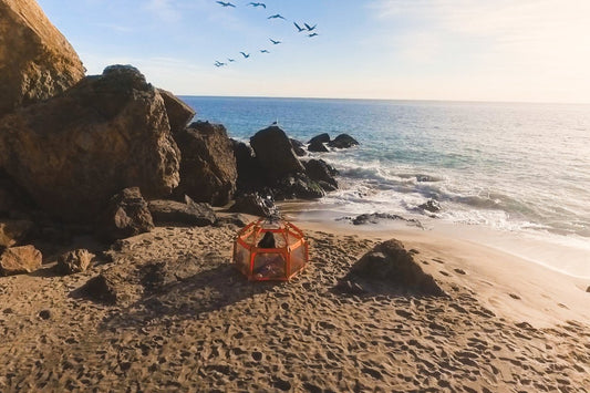 The Importance of Quality Time with Your Kids - The California Beach Co.