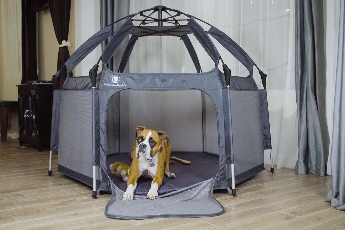 Why Your Pets Benefit From The Pop N Go Playpen - The California Beach Co.
