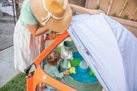 How Families Balance Pets and Newborns