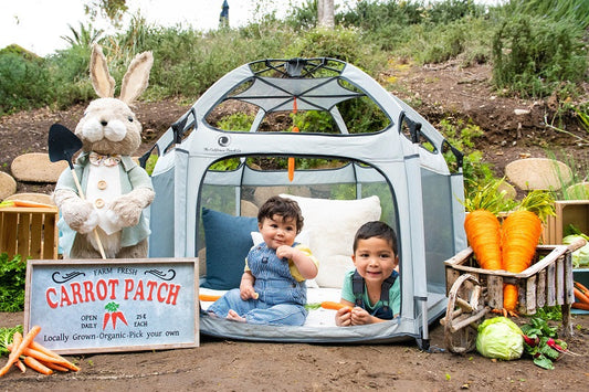 Setup Tips for Quick Assembly