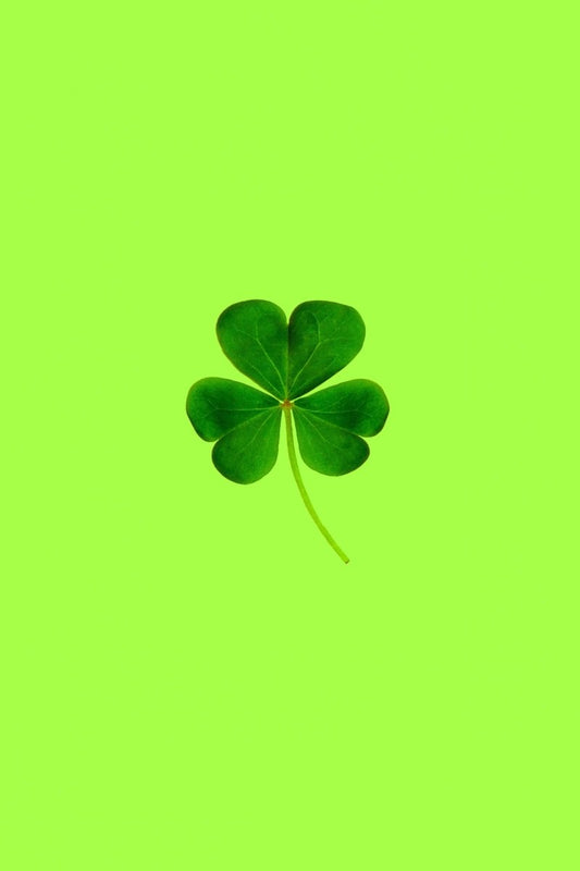 6 Fun St. Patrick’s Day Activities For The Whole Family