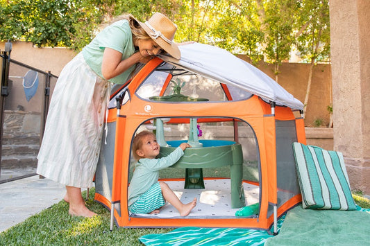 Baby-Safe Spaces When You Have Pets