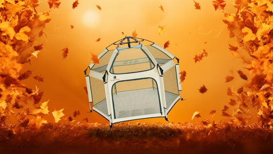 5 Festive Fall Activities with Your POP 'N GO™