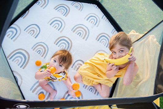 Portable Bassinet for Travel | Safe & Comfortable Baby Sleep Anywhere