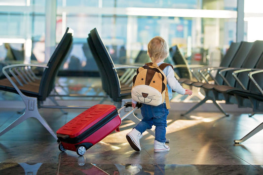 10 Must-Have Items When Traveling with a Toddler - The California Beach Co.