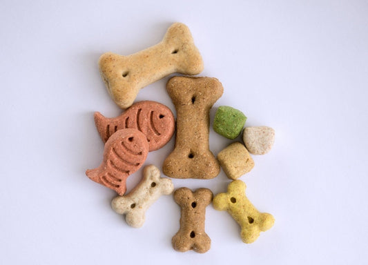 The Easiest and Most Delicious Homemade Dog Treat Recipe