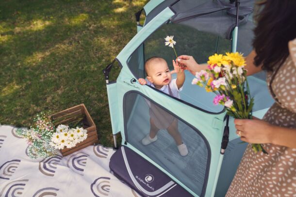 California Voyager Blanket Beach Umbrella